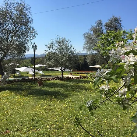 לינה וארוחת בוקר La Canonica Di San Michele 4*