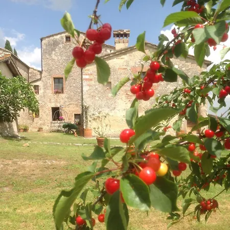 Panzió La Canonica Di San Michele Monteriggioni